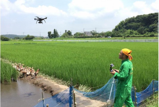 Giới trẻ Nhật thay đổi bộ mặt nông nghiệp bằng công nghệ